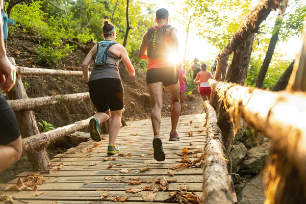 People running in the forest and crossing wooden bridge