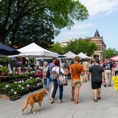 Fayetteville AR Farmers Market