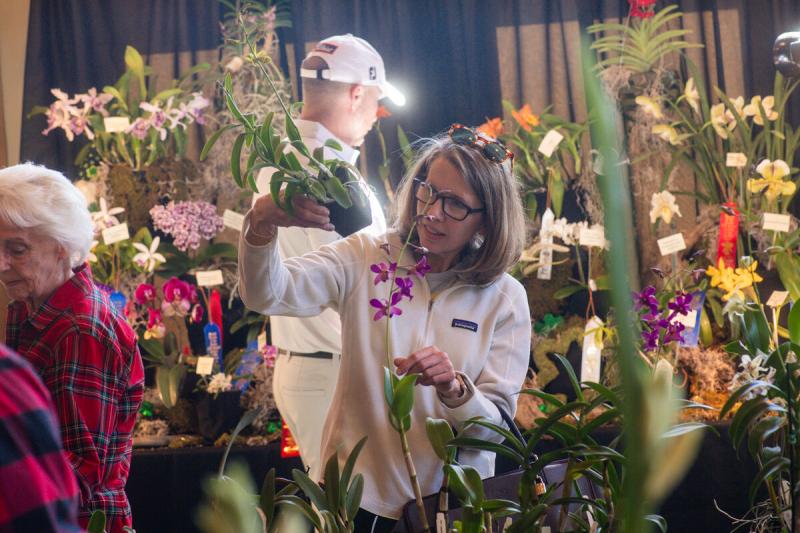 Orchid-Show-Experience-Fayetteville-9246---EF-Full-Article
