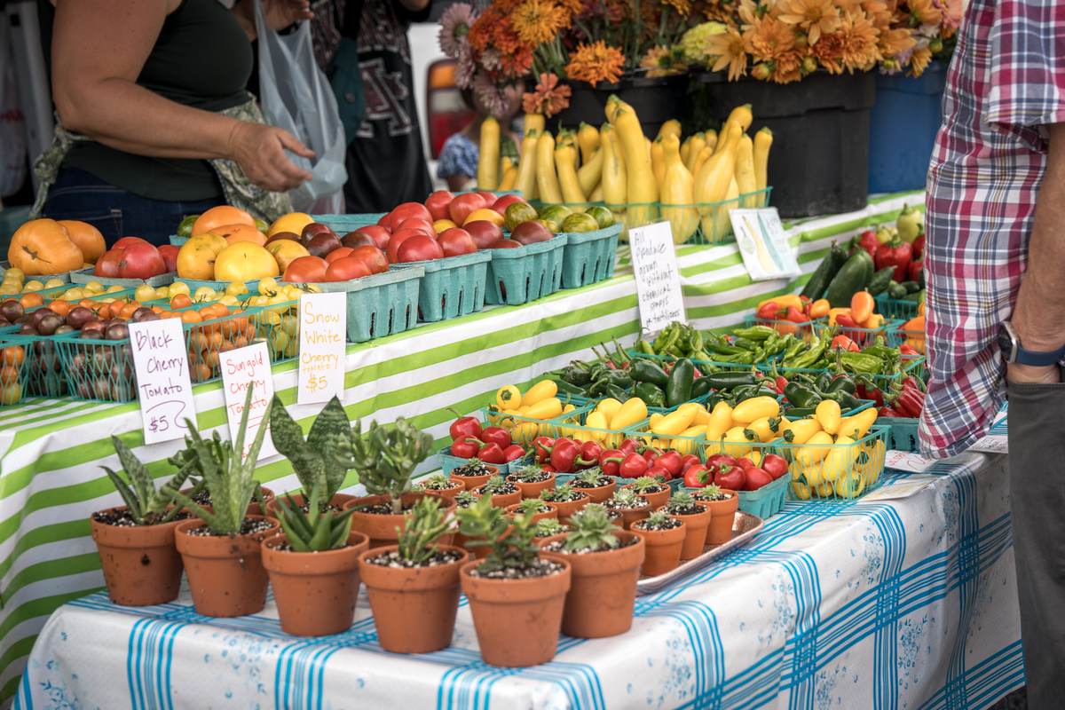 Produce Sales at Fayetteville Farmers Market