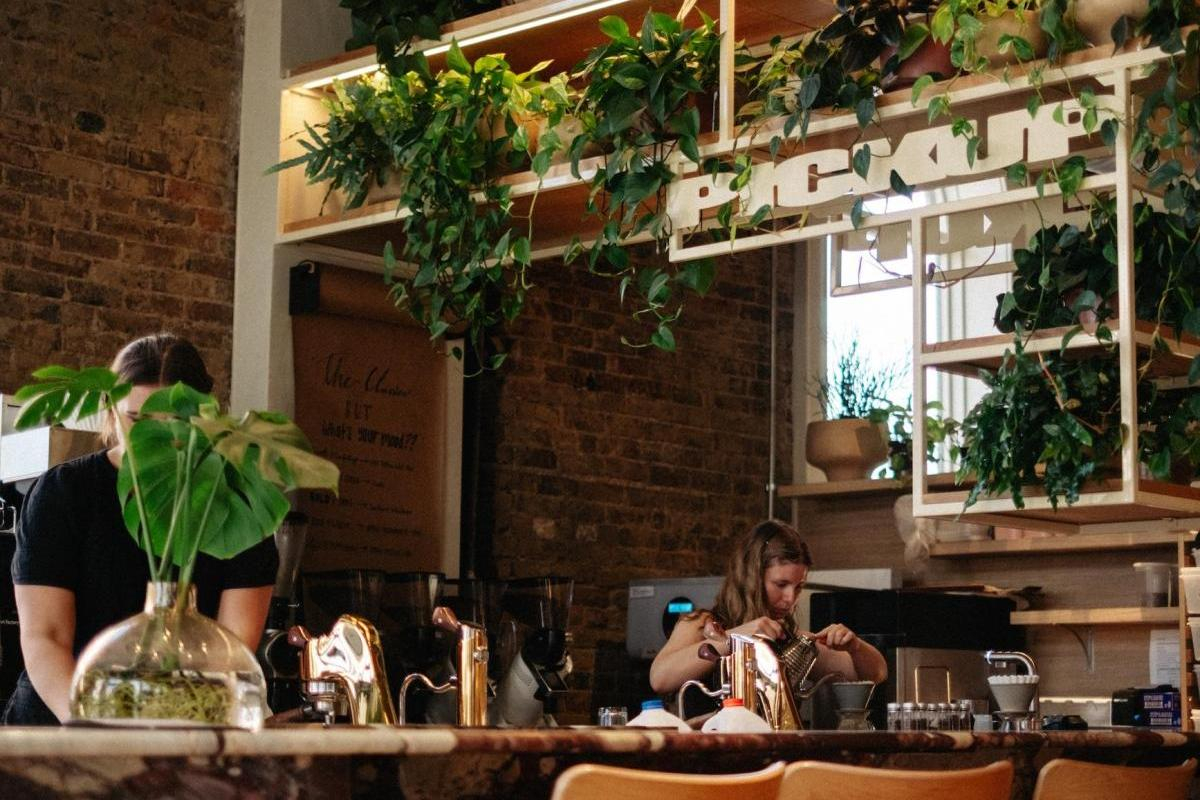 Onyx Coffee Fayetteville Arkansas