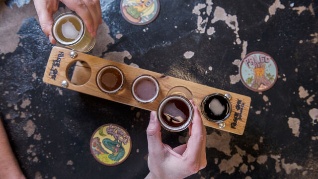 fossil-cove-fayetteville-ar-ale-trail-flight.jpg