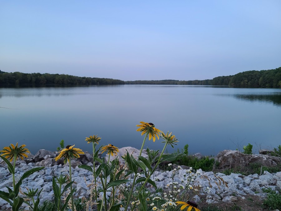 lake fay with flowers